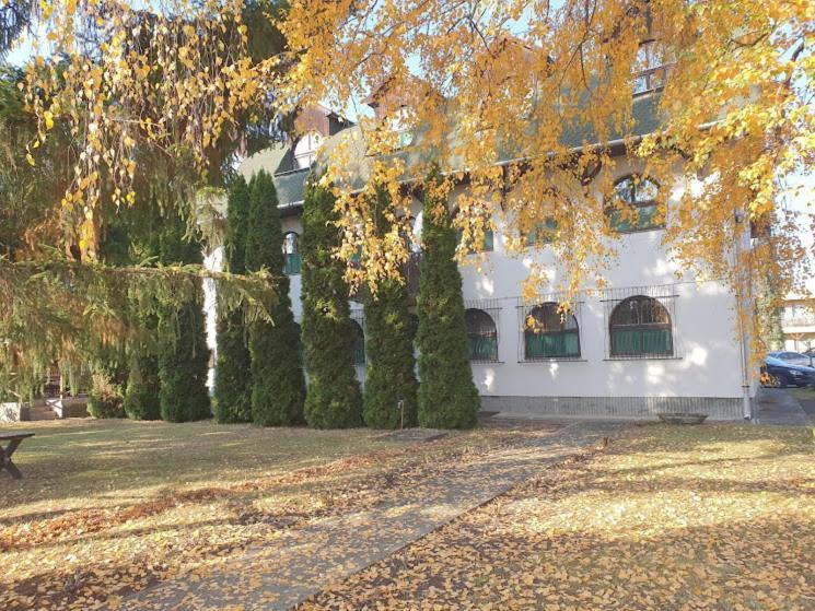 Nosztalgia Villa Mezokovesd Exterior photo